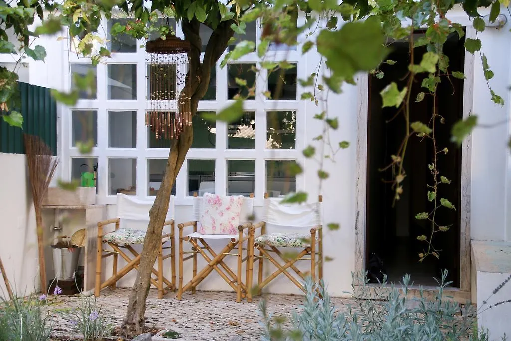 Apartment The Olive Tree House Hotel Lisbon